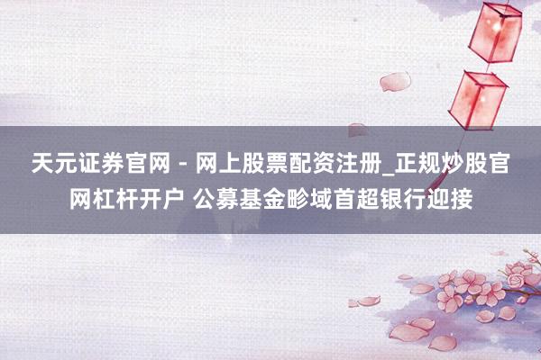 天元证券官网 - 网上股票配资注册_正规炒股官网杠杆开户 公募基金畛域首超银行迎接