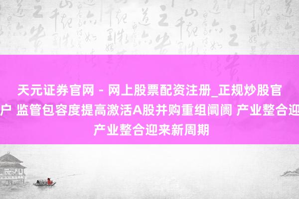 天元证券官网 - 网上股票配资注册_正规炒股官网杠杆开户 监管包容度提高激活A股并购重组阛阓 产业整合迎来新周期