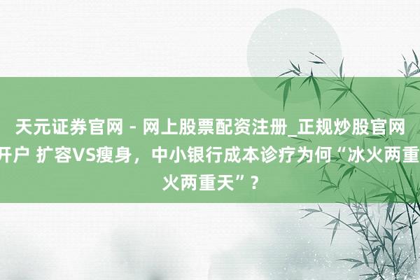 天元证券官网 - 网上股票配资注册_正规炒股官网杠杆开户 扩容VS瘦身，中小银行成本诊疗为何“冰火两重天”？