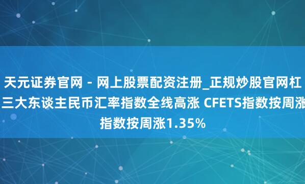 天元证券官网 - 网上股票配资注册_正规炒股官网杠杆开户 三大东谈主民币汇率指数全线高涨 CFETS指数按周涨1.35%